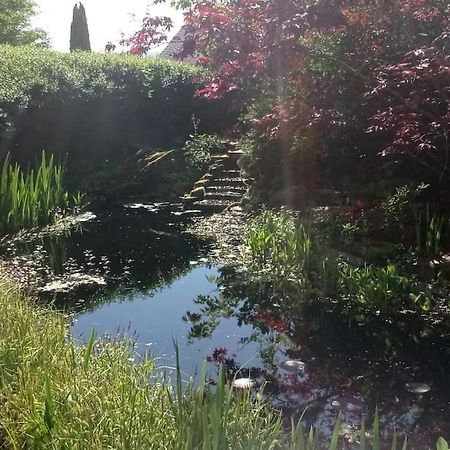 Ruhige Ferienwohnung Im Hunsrueck Hungenroth Buitenkant foto